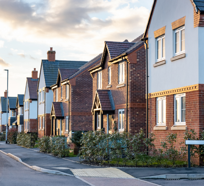 Suburban street during daytime